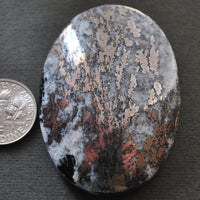 Metals, Dendritic Nickeline, Natural