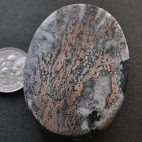 Metals, Dendritic Nickeline, Natural