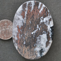 Metals, Dendritic Nickeline, Natural