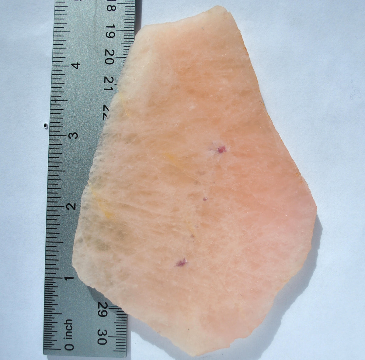 Morganite with Leopidolite SLAB 5"x 3"