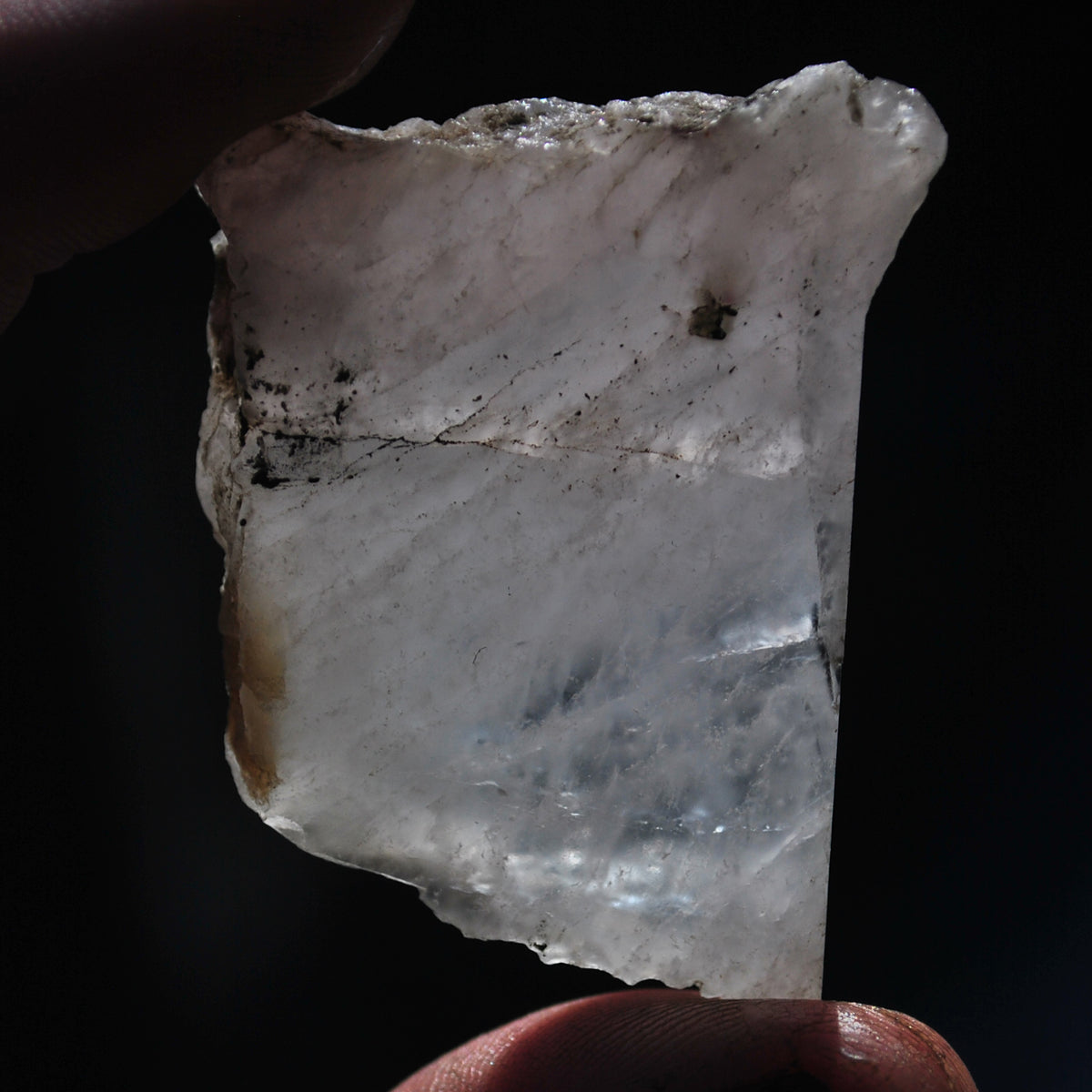 146 grams - Morganite