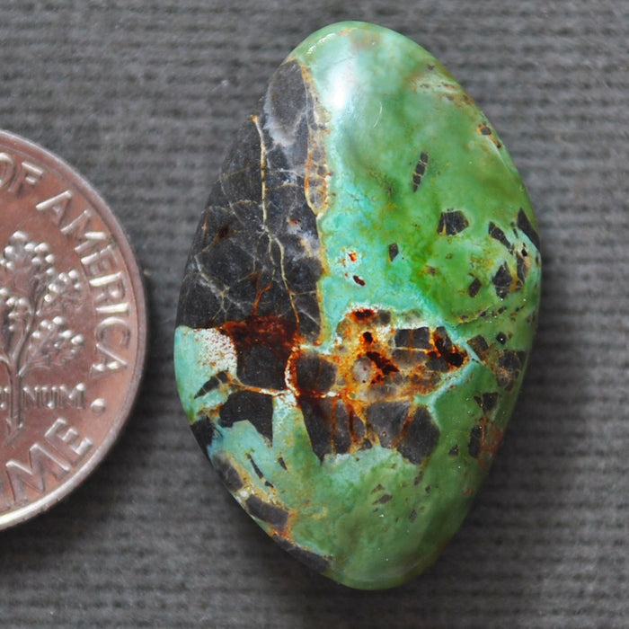 Turquoise, Green Tree, Natural