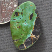 Turquoise, Green Tree, Natural