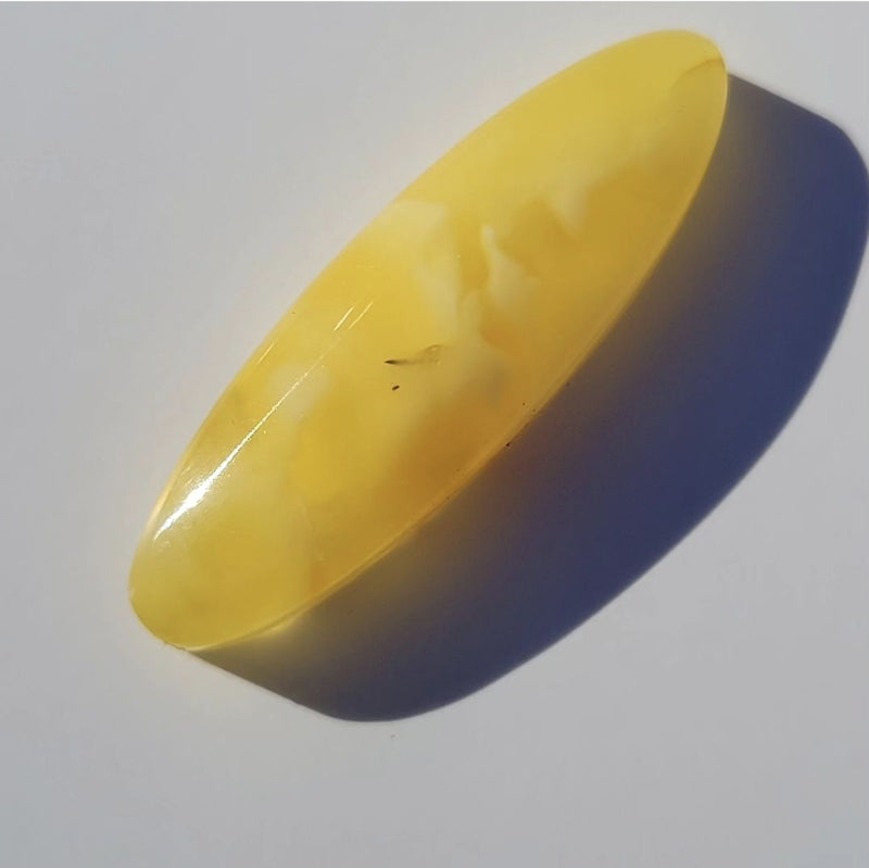 Amber, Butterscotch Amber! 30x9mm