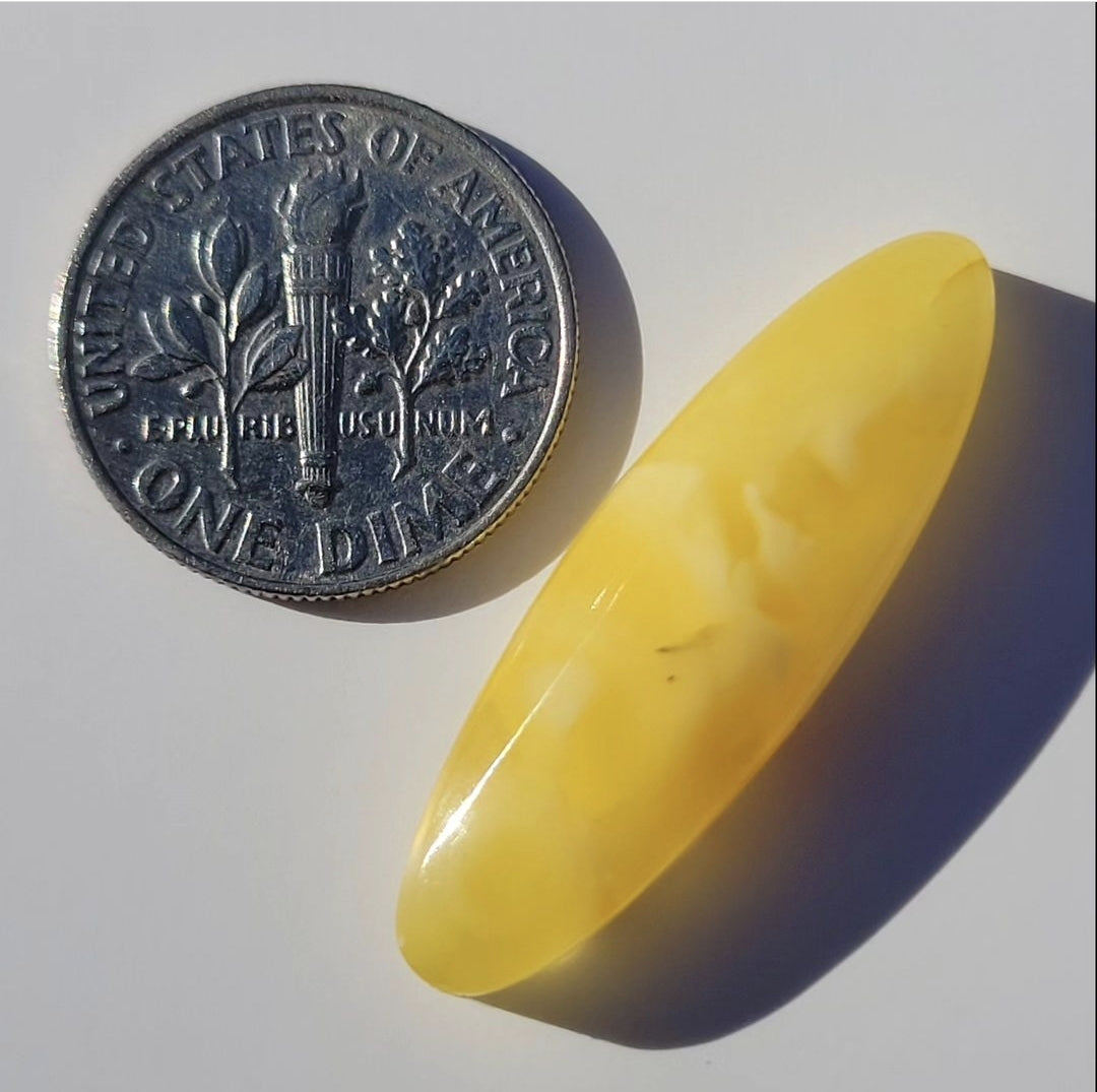 Amber, Butterscotch Amber! 30x9mm