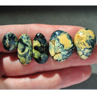 Variscite, New Lander, Natural