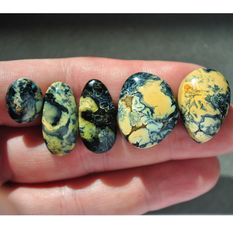 Variscite, New Lander, Natural